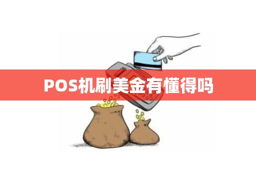 POS机刷美金有懂得吗