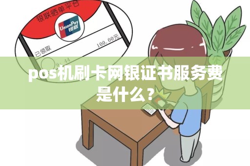 pos机刷卡网银证书服务费是什么？