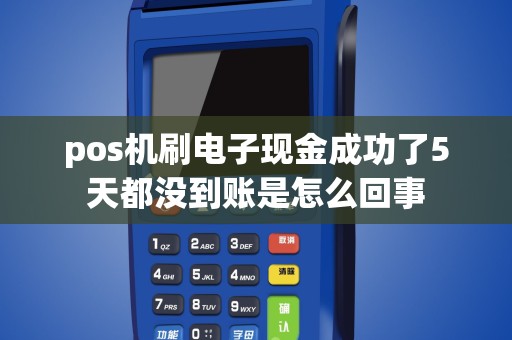 pos机刷电子现金成功了5天都没到账是怎么回事