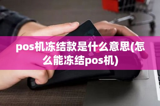 pos机冻结款是什么意思(怎么能冻结pos机)