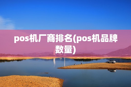 pos机厂商排名(pos机品牌数量)