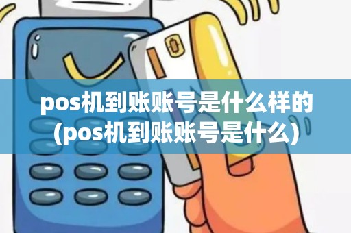 pos机到账账号是什么样的(pos机到账账号是什么)