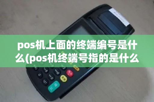 pos机上面的终端编号是什么(pos机终端号指的是什么)