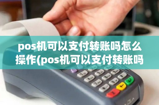 pos机可以支付转账吗怎么操作(pos机可以支付转账吗)