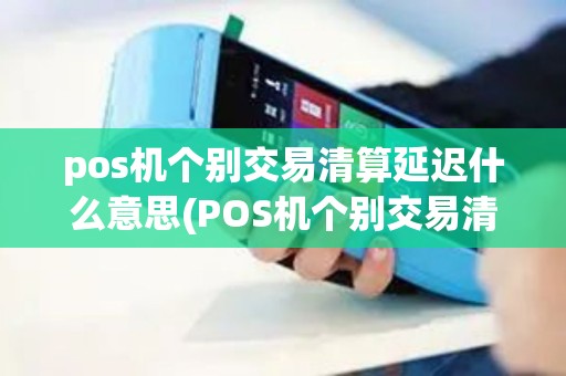 pos机个别交易清算延迟什么意思(POS机个别交易清算延迟)