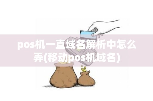 pos机一直域名解析中怎么弄(移动pos机域名)