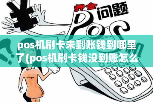 pos机刷卡未到账钱到哪里了(pos机刷卡钱没到账怎么解决)