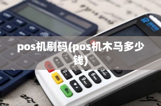 pos机刷码(pos机木马多少钱)