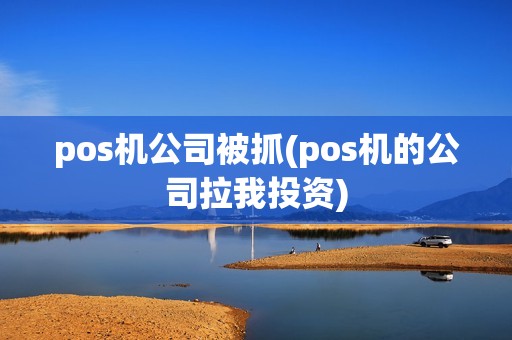 pos机公司被抓(pos机的公司拉我投资)