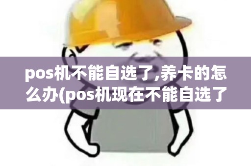 pos机不能自选了,养卡的怎么办(pos机现在不能自选了吗)