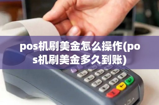 pos机刷美金怎么操作(pos机刷美金多久到账)