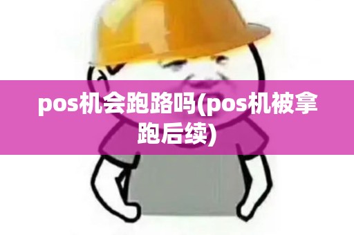 pos机会跑路吗(pos机被拿跑后续)
