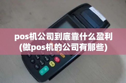 pos机公司到底靠什么盈利(做pos机的公司有那些)