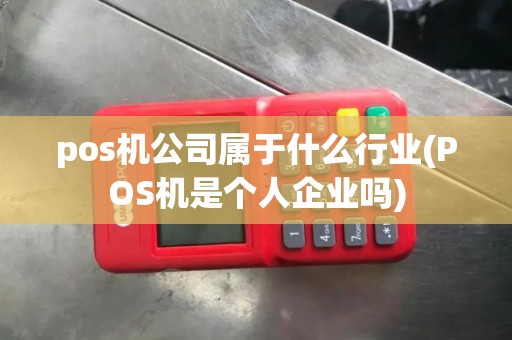 pos机公司属于什么行业(POS机是个人企业吗)