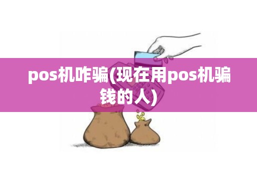 pos机咋骗(现在用pos机骗钱的人)