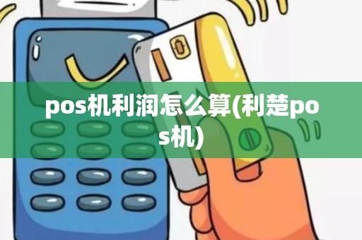 pos机利润怎么算(利楚pos机)