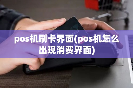 pos机刷卡界面(pos机怎么出现消费界面)