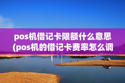 pos机借记卡限额什么意思(pos机的借记卡费率怎么调)