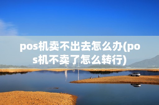pos机卖不出去怎么办(pos机不卖了怎么转行)
