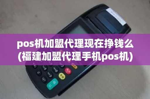pos机加盟代理现在挣钱么(福建加盟代理手机pos机)