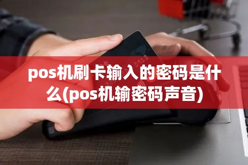 pos机刷卡输入的密码是什么(pos机输密码声音)