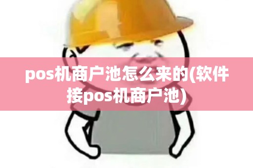 pos机商户池怎么来的(软件接pos机商户池)