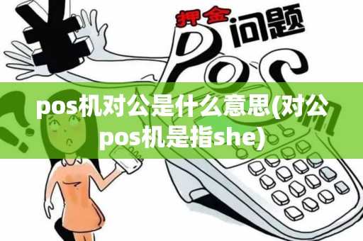 pos机对公是什么意思(对公pos机是指she)