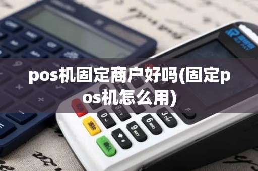 pos机固定商户好吗(固定pos机怎么用)