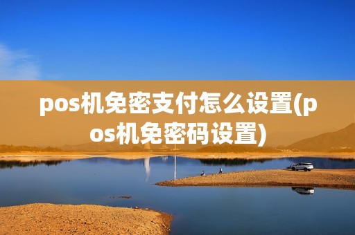 pos机免密支付怎么设置(pos机免密码设置)