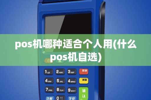 pos机哪种适合个人用(什么pos机自选)