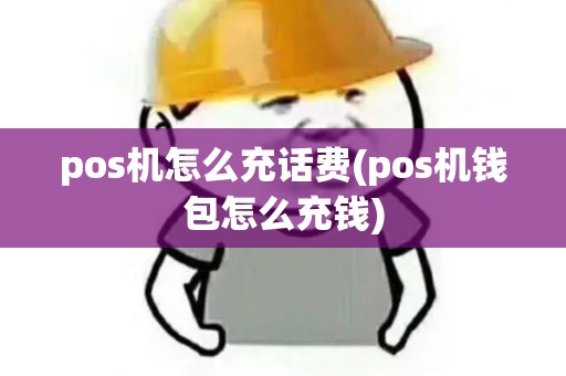 pos机怎么充话费(pos机钱包怎么充钱)