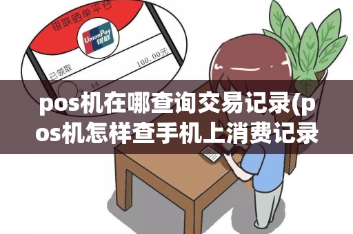 pos机在哪查询交易记录(pos机怎样查手机上消费记录)