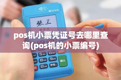 pos机小票凭证号去哪里查询(pos机的小票编号)