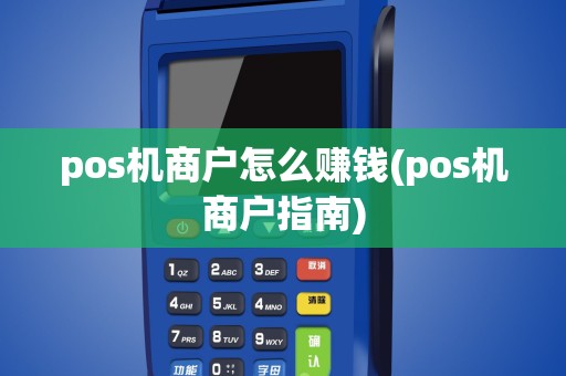 pos机商户怎么赚钱(pos机商户指南)