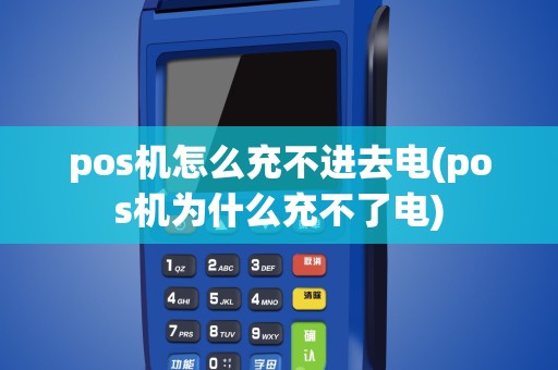 pos机怎么充不进去电(pos机为什么充不了电)