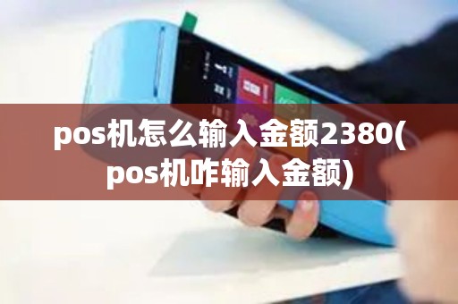 pos机怎么输入金额2380(pos机咋输入金额)