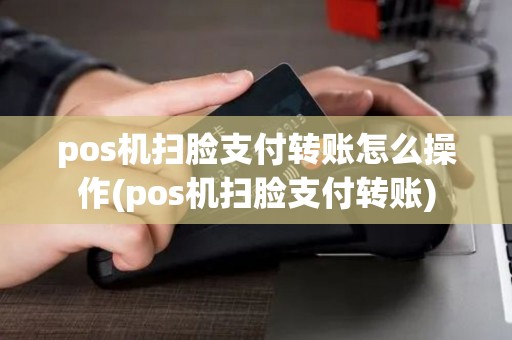 pos机扫脸支付转账怎么操作(pos机扫脸支付转账)