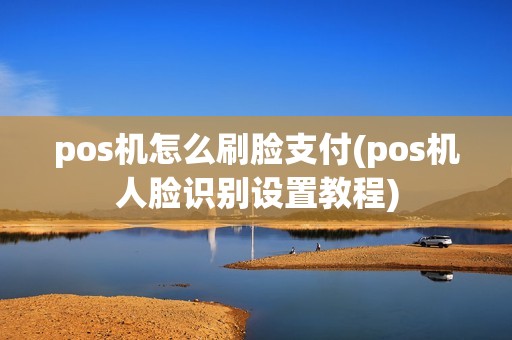 pos机怎么刷脸支付(pos机人脸识别设置教程)