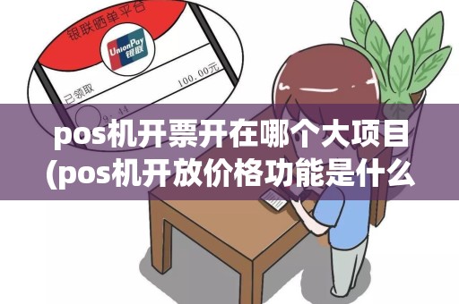 pos机开票开在哪个大项目(pos机开放价格功能是什么)