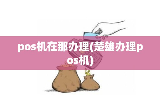 pos机在那办理(楚雄办理pos机)