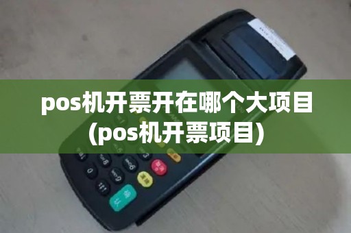 pos机开票开在哪个大项目(pos机开票项目)