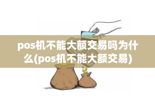 pos机不能大额交易吗为什么(pos机不能大额交易)