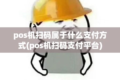 pos机扫码属于什么支付方式(pos机扫码支付平台)