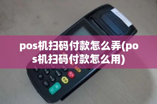 pos机扫码付款怎么弄(pos机扫码付款怎么用)