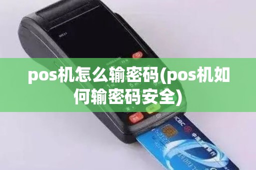 pos机怎么输密码(pos机如何输密码安全)