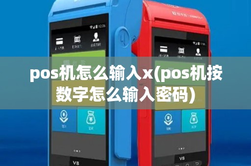 pos机怎么输入x(pos机按数字怎么输入密码)