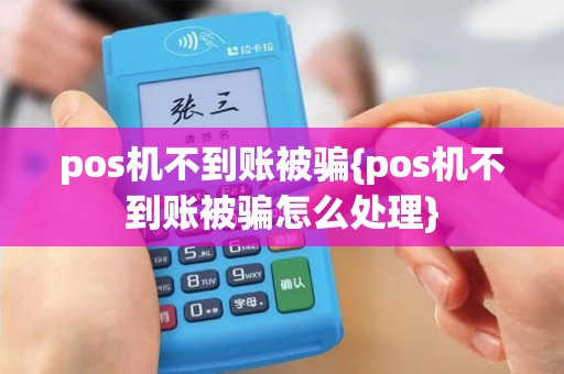 pos机不到账被骗{pos机不到账被骗怎么处理}