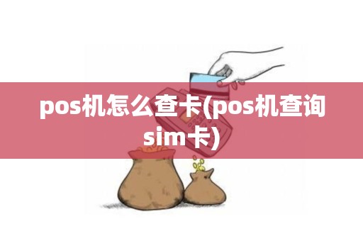pos机怎么查卡(pos机查询sim卡)