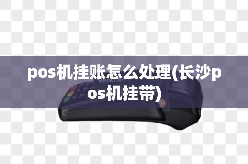 pos机挂账怎么处理(长沙pos机挂带)