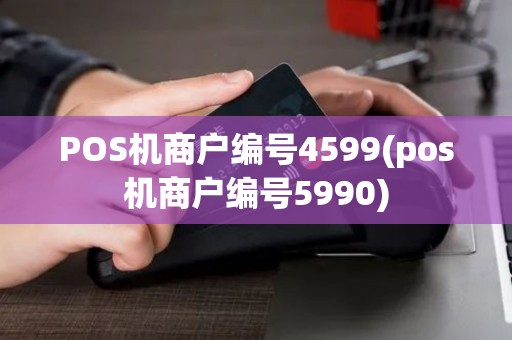 POS机商户编号4599(pos机商户编号5990)